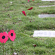 Illustration for article titled 2018 Remembrance Day at Mountain View Cemetery